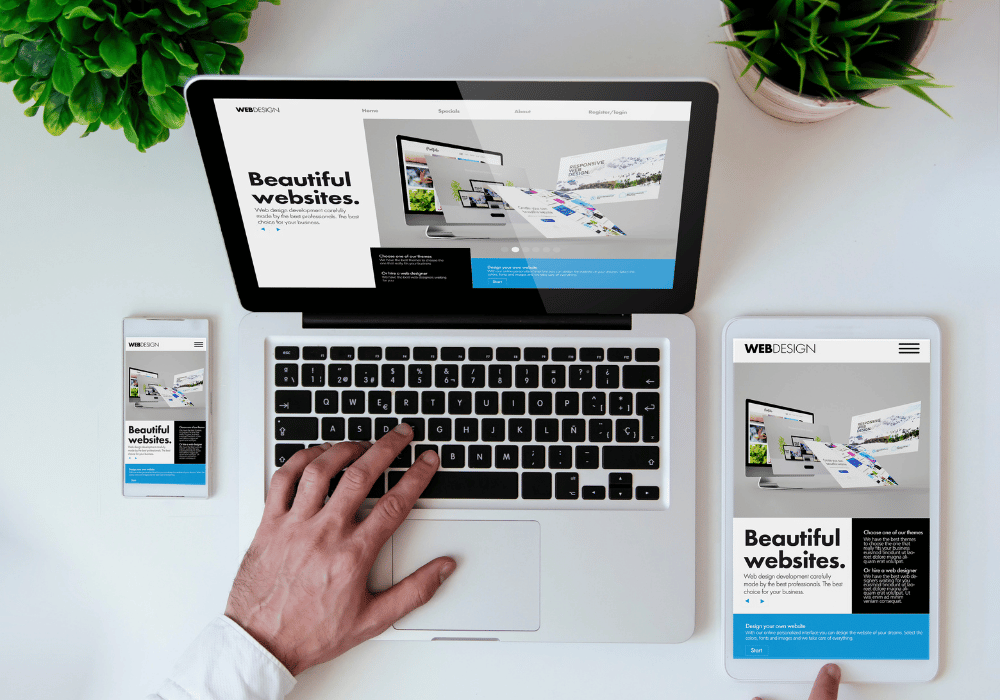 business website design